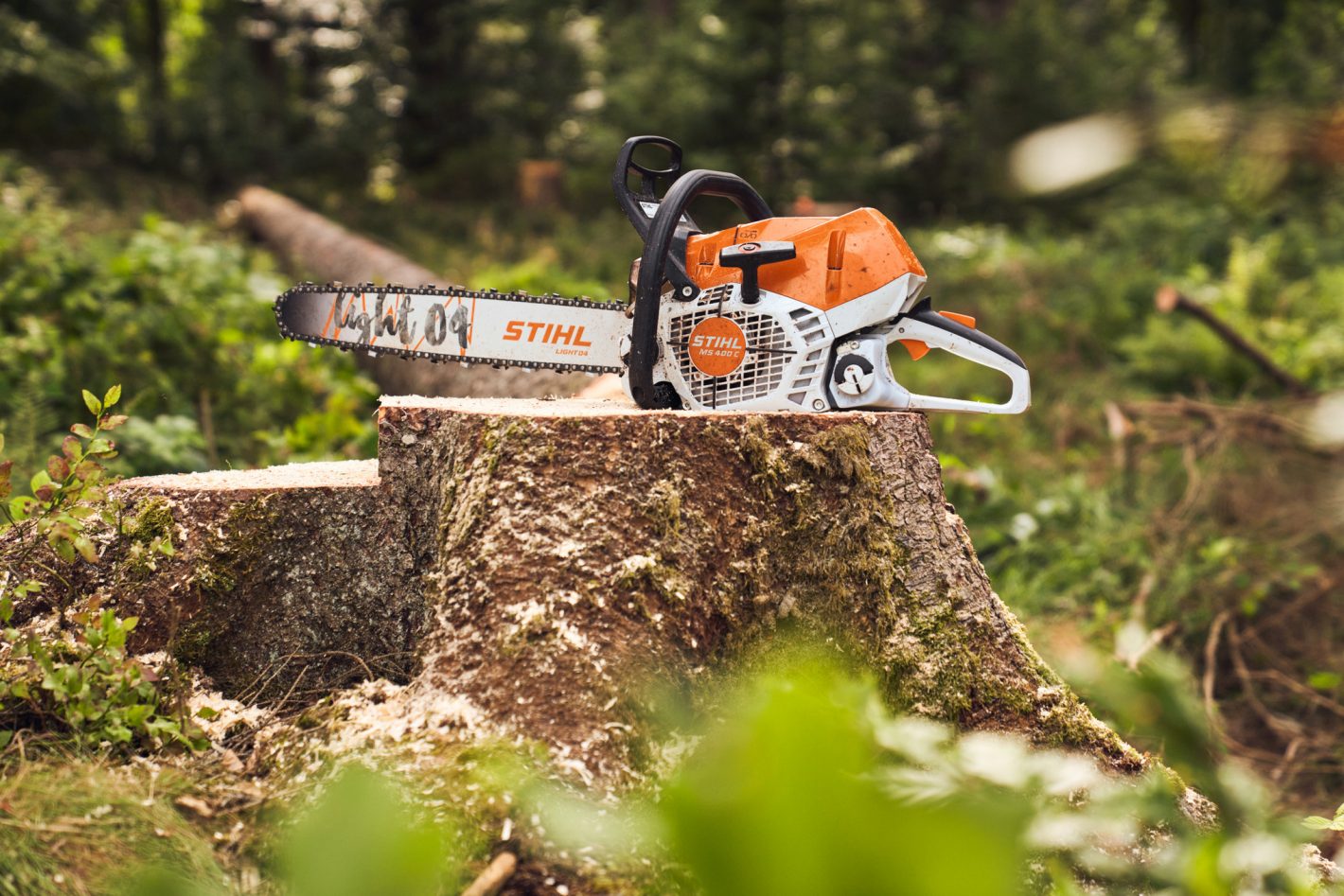 Eine Kettensäge von STIHL im Wald auf einem Baumstumpf